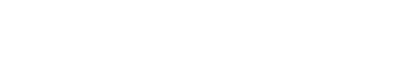 キャリタス